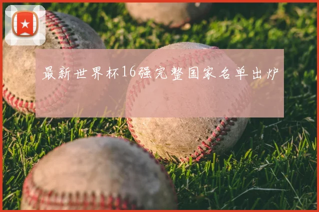 最新世界杯16强完整国家名单出炉