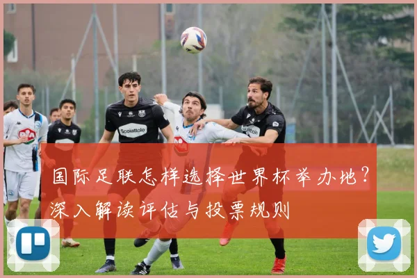 国际足联怎样选择世界杯举办地？深入解读评估与投票规则