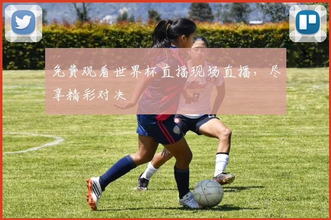 免费观看世界杯直播现场直播，尽享精彩对决