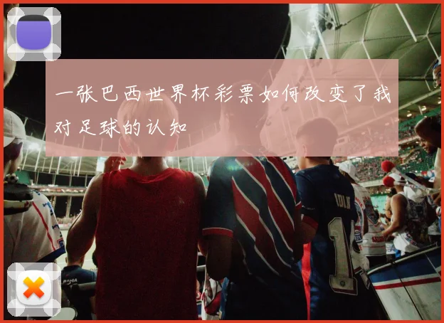 一张巴西世界杯彩票如何改变了我对足球的认知