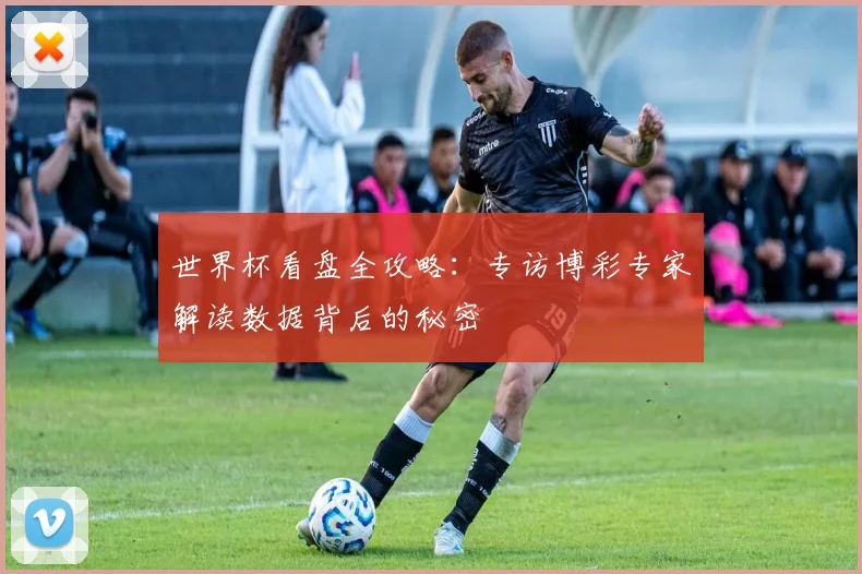世界杯看盘全攻略：专访博彩专家解读数据背后的秘密