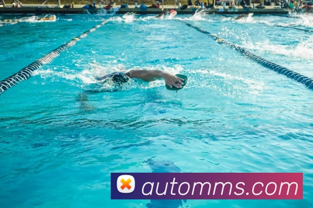 开云在线官网登录入口服务体系